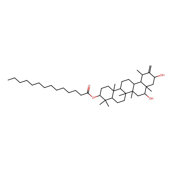 2D Structure of (8,10-Dihydroxy-4,4,6a,6b,8a,12,14b-heptamethyl-11-methylidene-1,2,3,4a,5,6,6a,7,8,9,10,12,12a,13,14,14a-hexadecahydropicen-3-yl) tetradecanoate