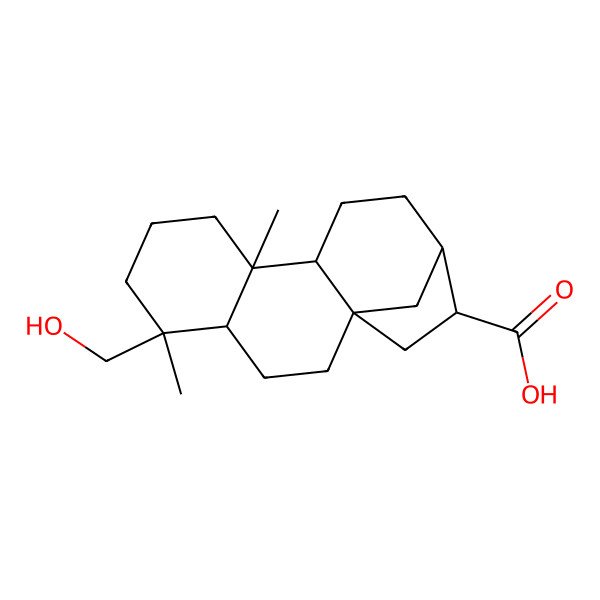 2D Structure of (1R,4S,5R,9S,10R,13S,14S)-5-(hydroxymethyl)-5,9-dimethyltetracyclo[11.2.1.01,10.04,9]hexadecane-14-carboxylic acid