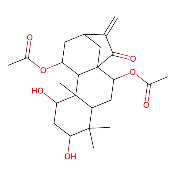 2D Structure of [(1R,2S,4R,6S,8S,9R,10S,11S,13S)-2-acetyloxy-6,8-dihydroxy-5,5,9-trimethyl-14-methylidene-15-oxo-11-tetracyclo[11.2.1.01,10.04,9]hexadecanyl] acetate