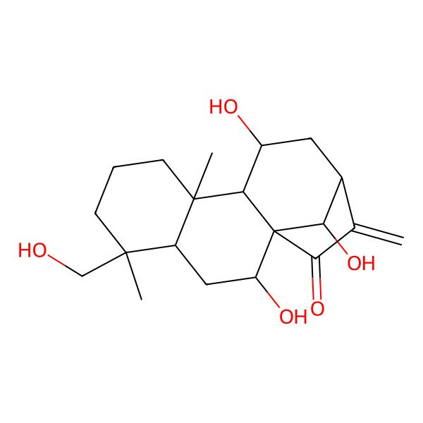 2D Structure of 2,11,16-Trihydroxy-5-(hydroxymethyl)-5,9-dimethyl-14-methylidenetetracyclo[11.2.1.01,10.04,9]hexadecan-15-one