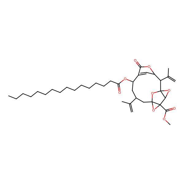 2D Structure of methyl (1R,2R,3R,7S,9R,11S,13S,14R)-7-hexadecanoyloxy-5-oxo-2,9-bis(prop-1-en-2-yl)-4,12,15,16-tetraoxapentacyclo[9.4.1.13,6.01,14.011,13]heptadec-6(17)-ene-13-carboxylate