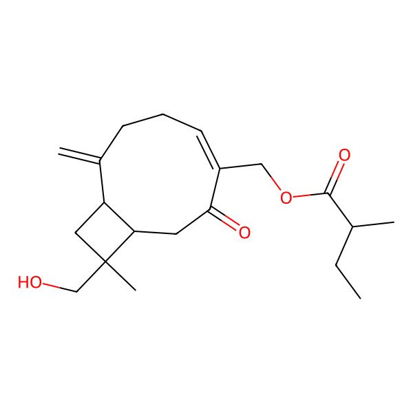 2D Structure of [(1R,4Z,9S,11R)-11-(hydroxymethyl)-11-methyl-8-methylidene-3-oxo-4-bicyclo[7.2.0]undec-4-enyl]methyl (2R)-2-methylbutanoate