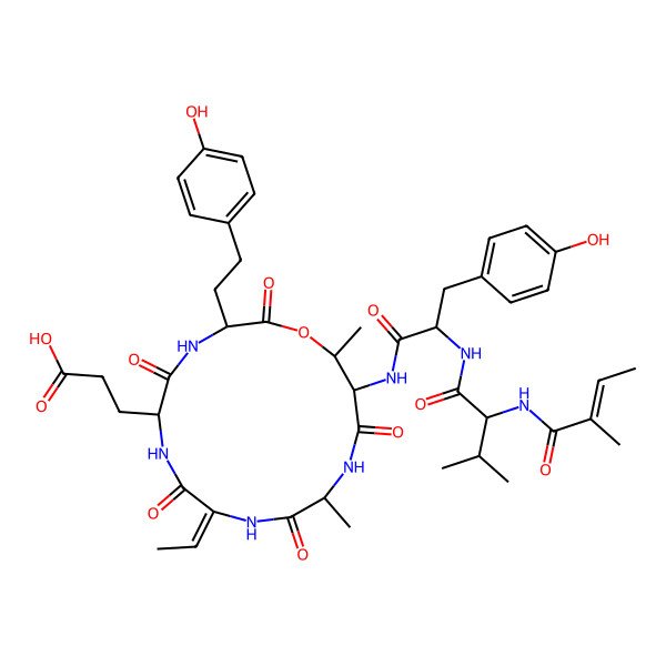 2D Structure of 3-[9-Ethylidene-3-[2-(4-hydroxyphenyl)ethyl]-15-[[3-(4-hydroxyphenyl)-2-[[3-methyl-2-(2-methylbut-2-enoylamino)butanoyl]amino]propanoyl]amino]-12,16-dimethyl-2,5,8,11,14-pentaoxo-1-oxa-4,7,10,13-tetrazacyclohexadec-6-yl]propanoic acid