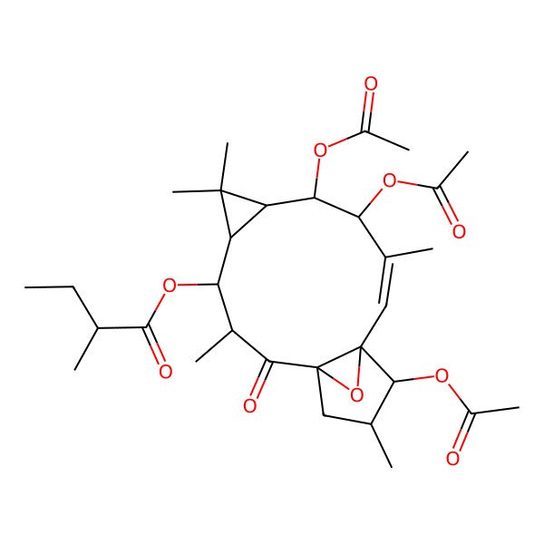 2D Structure of (8,9,13-Triacetyloxy-3,6,6,10,14-pentamethyl-2-oxo-16-oxatetracyclo[10.3.1.01,12.05,7]hexadec-10-en-4-yl) 2-methylbutanoate