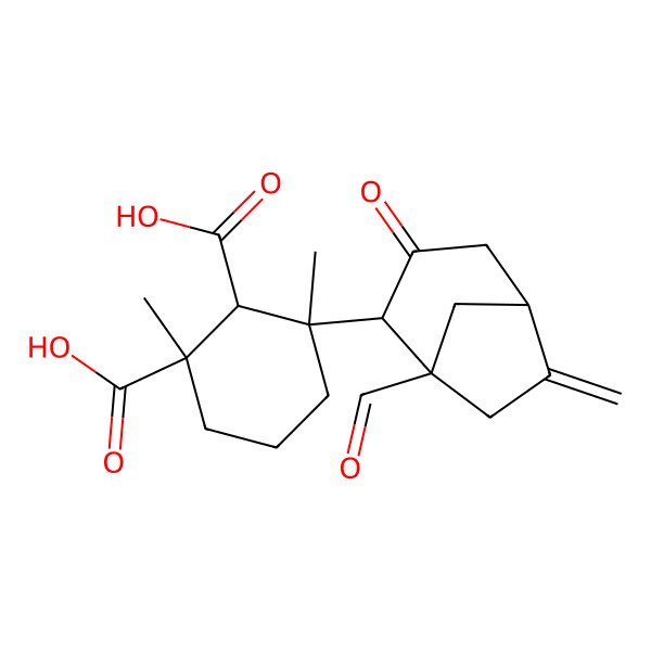 2D Structure of 3-(1-Formyl-6-methylidene-3-oxo-2-bicyclo[3.2.1]octanyl)-1,3-dimethylcyclohexane-1,2-dicarboxylic acid