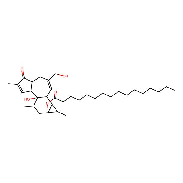 2D Structure of [(1R,2R,6R,10S,11S,12S,13R,15R)-1-hydroxy-8-(hydroxymethyl)-4,12,15-trimethyl-5-oxo-13-tetracyclo[8.5.0.02,6.011,13]pentadeca-3,8-dienyl] hexadecanoate