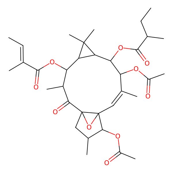 2D Structure of [(1R,3R,4R,5R,7S,8S,9R,10E,12S,13S,14S)-9,13-diacetyloxy-3,6,6,10,14-pentamethyl-4-[(E)-2-methylbut-2-enoyl]oxy-2-oxo-16-oxatetracyclo[10.3.1.01,12.05,7]hexadec-10-en-8-yl] 2-methylbutanoate