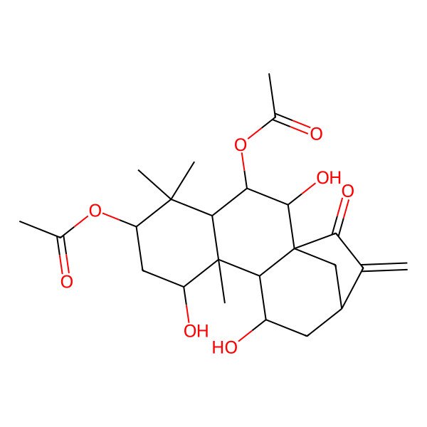 2D Structure of [(1R,2R,3R,4R,6S,8S,9R,10S,11S,13S)-3-acetyloxy-2,8,11-trihydroxy-5,5,9-trimethyl-14-methylidene-15-oxo-6-tetracyclo[11.2.1.01,10.04,9]hexadecanyl] acetate