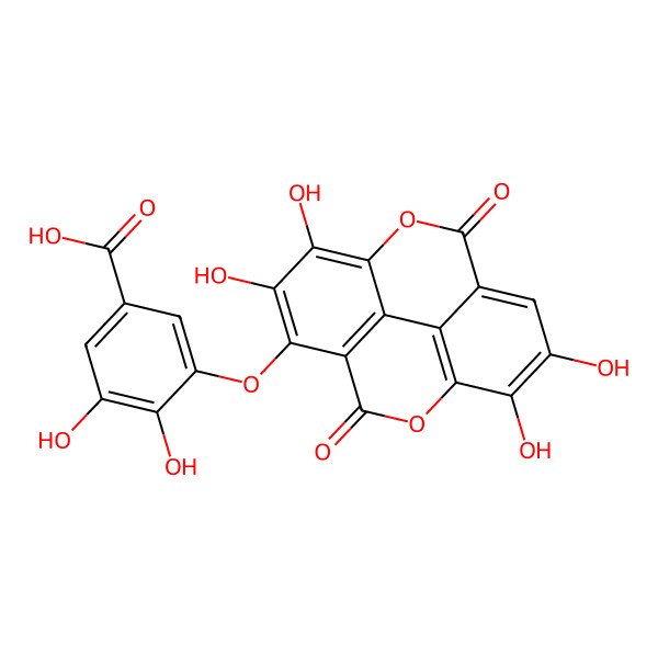 2D Structure of 3,4-Dihydroxy-5-[(6,7,13,14-tetrahydroxy-3,10-dioxo-2,9-dioxatetracyclo[6.6.2.04,16.011,15]hexadeca-1(15),4(16),5,7,11,13-hexaen-5-yl)oxy]benzoic acid