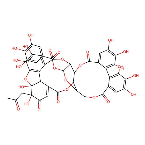 2D Structure of [(1S,2S,8R,9S,27R,29S,30R,39R)-1,2,14,15,16,19,20,21,35,36-decahydroxy-3,6,11,24,32-pentaoxo-2-(2-oxopropyl)-7,10,25,28,31,40-hexaoxaoctacyclo[35.2.1.05,39.08,27.09,30.012,17.018,23.033,38]tetraconta-4,12,14,16,18,20,22,33,35,37-decaen-29-yl] 3,4,5-trihydroxybenzoate
