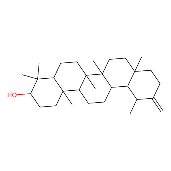 2D Structure of (3S,4aS,6aS,6aR,6bR,8aR,12S,12aS,14aR,14bR)-4,4,6a,6b,8a,12,14b-heptamethyl-11-methylidene-1,2,3,4a,5,6,6a,7,8,9,10,12,12a,13,14,14a-hexadecahydropicen-3-ol