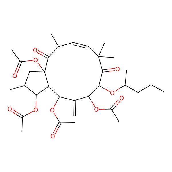 2D Structure of [(2S,5S,6E,10R,13aR)-3a,11,13-triacetyloxy-2,5,8,8-tetramethyl-12-methylidene-4,9-dioxo-10-pentan-2-yloxy-1,2,3,5,10,11,13,13a-octahydrocyclopenta[12]annulen-1-yl] acetate
