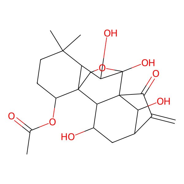 2D Structure of [(1S,2S,3R,5S,8R,9S,10S,11R,15S,18R)-3,9,10,18-tetrahydroxy-12,12-dimethyl-6-methylidene-7-oxo-17-oxapentacyclo[7.6.2.15,8.01,11.02,8]octadecan-15-yl] acetate