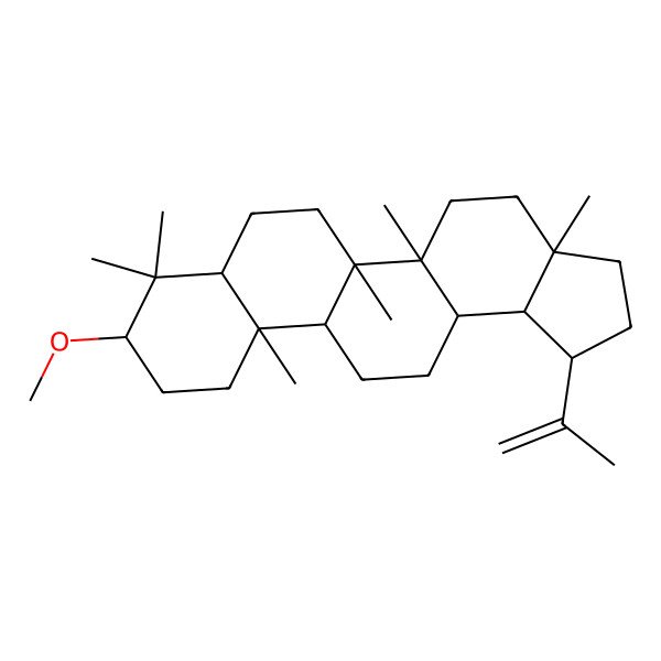 2D Structure of (1R,3aR,5aR,5bR,7aR,9S,11aR,11bR,13aR,13bR)-9-methoxy-3a,5a,5b,8,8,11a-hexamethyl-1-prop-1-en-2-yl-1,2,3,4,5,6,7,7a,9,10,11,11b,12,13,13a,13b-hexadecahydrocyclopenta[a]chrysene