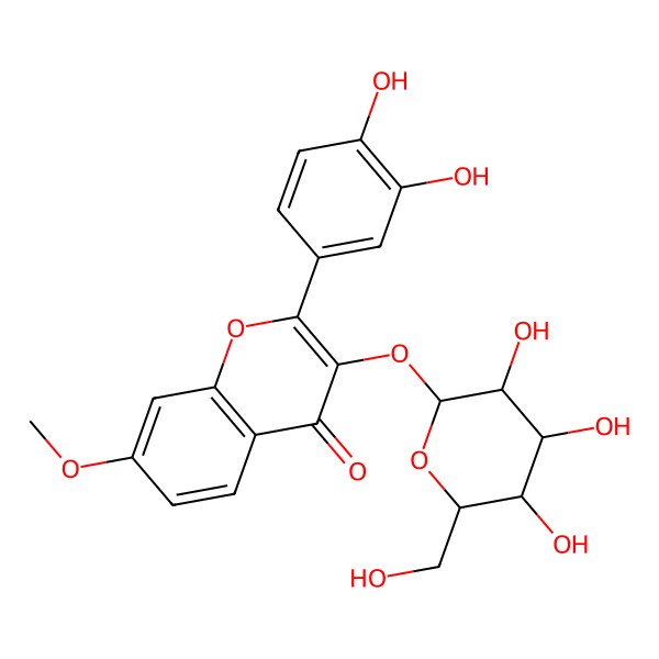 2D Structure of 4H-1-Benzopyran-4-one, 2-(3,4-dihydroxyphenyl)-3-(beta-D-glucopyranosyloxy)-5-hydroxy-7-methoxy- 2D Structure of 4H-1-Benzopyran-4-one, 2-(3,4-dihydroxyphenyl)-3-(beta-D-glucopyranosyloxy)-5-hydroxy-7-methoxy-