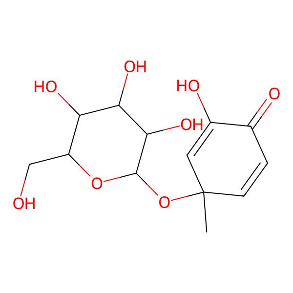2D Structure of (4R)-2-Hydroxy-4alpha-(beta-D-glucopyranosyloxy)-4-methyl-2,5-cyclohexadiene-1-one 2D Structure of (4R)-2-Hydroxy-4alpha-(beta-D-glucopyranosyloxy)-4-methyl-2,5-cyclohexadiene-1-one