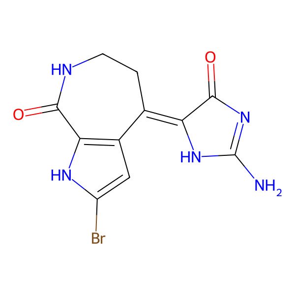 2D Structure of (4Z)-4-(2-amino-4-oxo-1H-imidazol-5-ylidene)-2-bromo-1,5,6,7-tetrahydropyrrolo[2,3-c]azepin-8-one