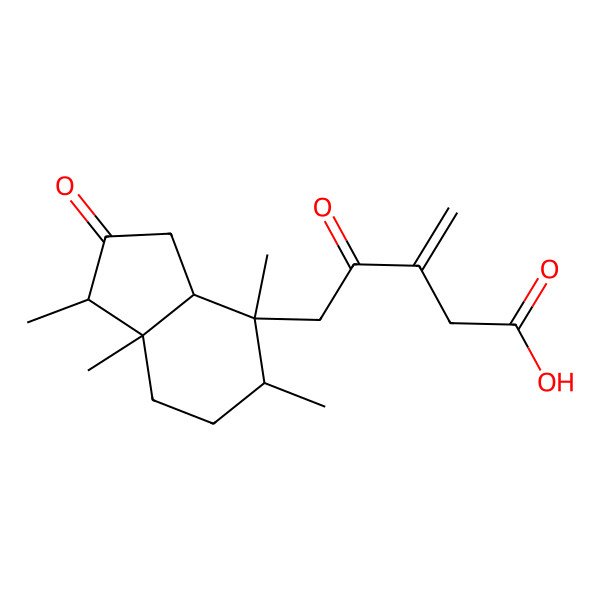 2D Structure of 5-(1,4,5,7a-Tetramethyl-2-oxo-1,3,3a,5,6,7-hexahydroinden-4-yl)-3-methylidene-4-oxopentanoic acid 2D Structure of 5-(1,4,5,7a-Tetramethyl-2-oxo-1,3,3a,5,6,7-hexahydroinden-4-yl)-3-methylidene-4-oxopentanoic acid