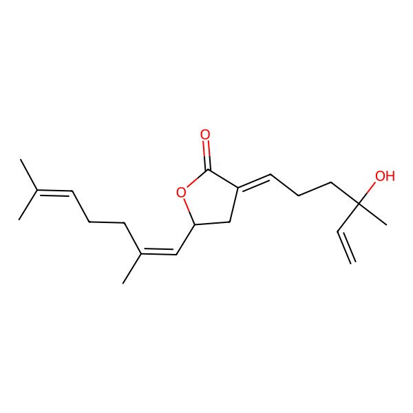 2D Structure of 5-(2,6-Dimethylhepta-1,5-dienyl)-3-(4-hydroxy-4-methylhex-5-enylidene)oxolan-2-one