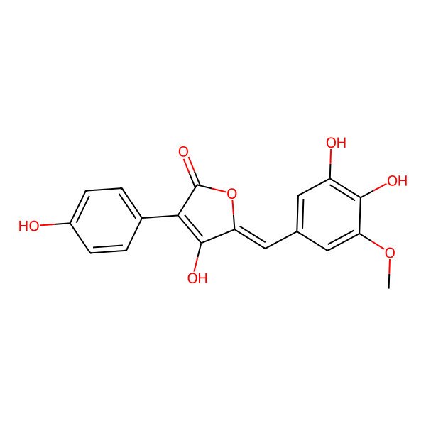 2D Structure of 5-[(3,4-Dihydroxy-5-methoxyphenyl)methylidene]-4-hydroxy-3-(4-hydroxyphenyl)furan-2-one