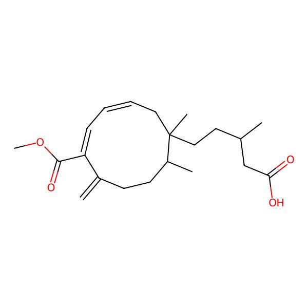 2D Structure of 5-(6-Methoxycarbonyl-1,10-dimethyl-7-methylidenecyclodeca-3,5-dien-1-yl)-3-methylpentanoic acid