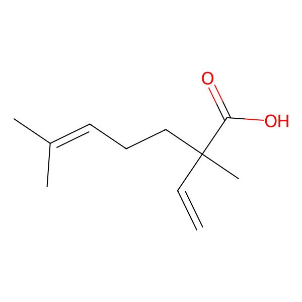 2D Structure of 5-Heptenoic acid, 2,6-dimethyl-2-vinyl- 2D Structure of 5-Heptenoic acid, 2,6-dimethyl-2-vinyl-
