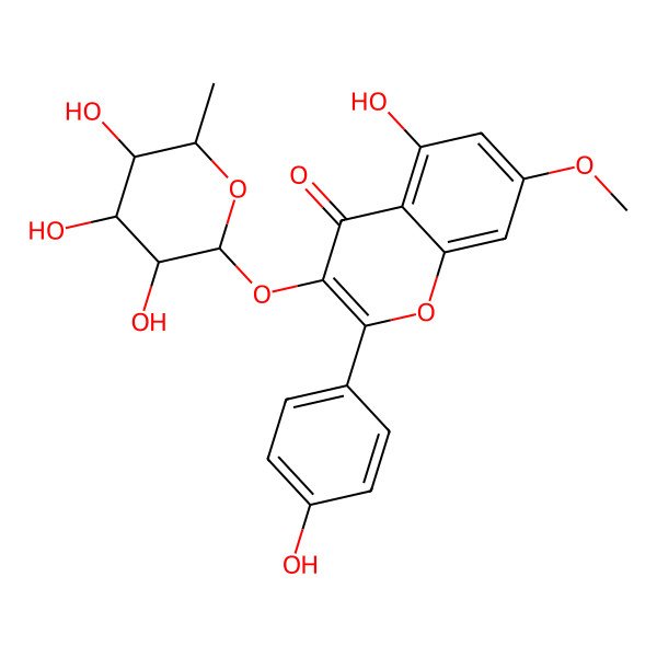 2D Structure of 5-Hydroxy-2-(4-hydroxyphenyl)-7-methoxy-3-(3,4,5-trihydroxy-6-methyloxan-2-yl)oxychromen-4-one