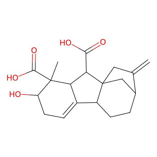 2D Structure of 5-Hydroxy-4-methyl-13-methylidenetetracyclo[10.2.1.01,9.03,8]pentadec-7-ene-2,4-dicarboxylic acid
