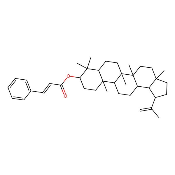2D Structure of [(1R,3aR,5aR,5bR,7aR,9S,11aR,11bR,13aR,13bS)-3a,5a,5b,8,8,11a-hexamethyl-1-prop-1-en-2-yl-1,2,3,4,5,6,7,7a,9,10,11,11b,12,13,13a,13b-hexadecahydrocyclopenta[a]chrysen-9-yl] (E)-3-phenylprop-2-enoate