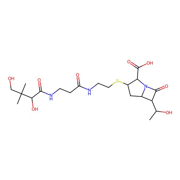 2D Structure of (2S,3S,5R,6R)-3-[2-[3-[[(2R)-2,4-dihydroxy-3,3-dimethylbutanoyl]amino]propanoylamino]ethylsulfanyl]-6-(1-hydroxyethyl)-7-oxo-1-azabicyclo[3.2.0]heptane-2-carboxylic acid