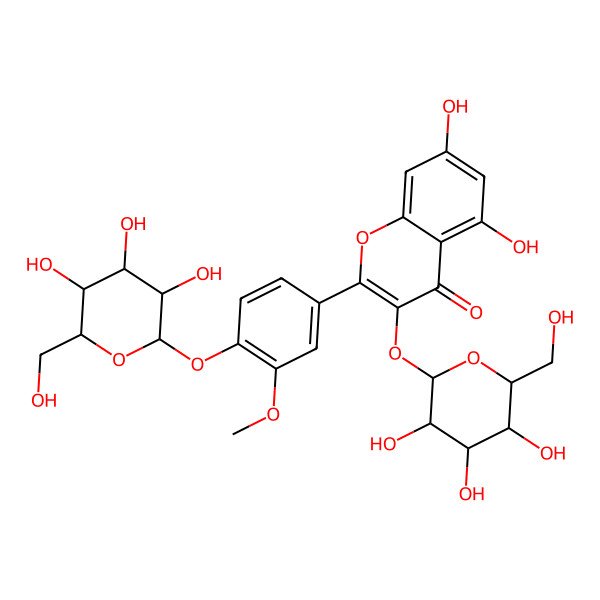 2D Structure of 5,7-dihydroxy-2-[3-methoxy-4-[(2S,3R,4S,5S,6R)-3,4,5-trihydroxy-6-(hydroxymethyl)oxan-2-yl]oxyphenyl]-3-[(2S,3R,4R,5S,6R)-3,4,5-trihydroxy-6-(hydroxymethyl)oxan-2-yl]oxychromen-4-one