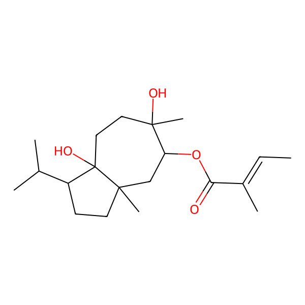 2D Structure of (6,8a-dihydroxy-3a,6-dimethyl-1-propan-2-yl-2,3,4,5,7,8-hexahydro-1H-azulen-5-yl) 2-methylbut-2-enoate 2D Structure of (6,8a-dihydroxy-3a,6-dimethyl-1-propan-2-yl-2,3,4,5,7,8-hexahydro-1H-azulen-5-yl) 2-methylbut-2-enoate
