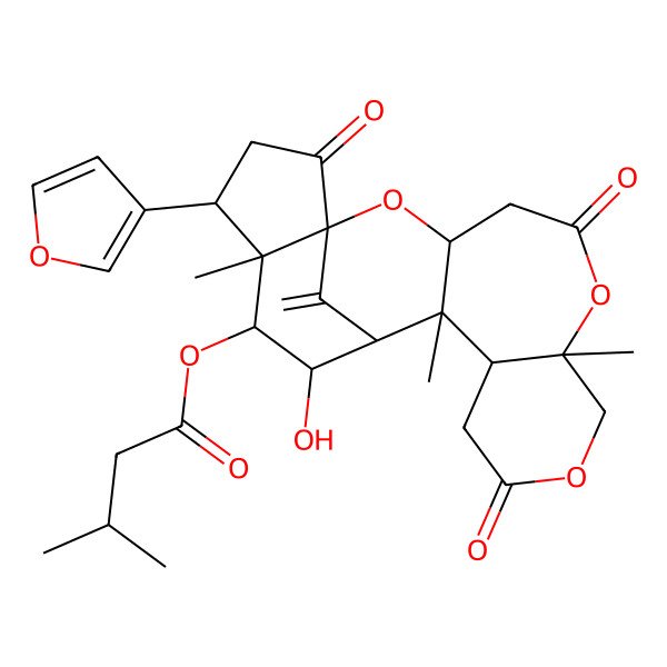 2D Structure of [(1S,3S,7S,12R,13R,14R,15R,16R,17R,18S)-18-(furan-3-yl)-15-hydroxy-7,13,17-trimethyl-21-methylidene-5,10,20-trioxo-2,6,9-trioxapentacyclo[12.6.1.01,17.03,13.07,12]henicosan-16-yl] 3-methylbutanoate