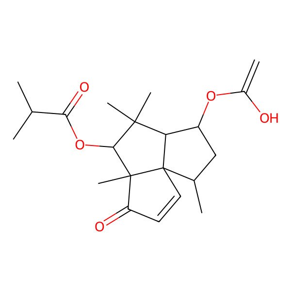 2D Structure of [(1R,5R,6S,8R,9R,11R)-9-(1-hydroxyethenoxy)-5,7,7,11-tetramethyl-4-oxo-6-tricyclo[6.3.0.01,5]undec-2-enyl] 2-methylpropanoate