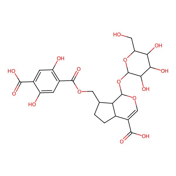 2D Structure of (1R,4aR,7R,7aR)-7-[(4-carboxy-2,5-dihydroxybenzoyl)oxymethyl]-1-[(2R,3S,4R,5R,6S)-3,4,5-trihydroxy-6-(hydroxymethyl)oxan-2-yl]oxy-1,4a,5,6,7,7a-hexahydrocyclopenta[c]pyran-4-carboxylic acid