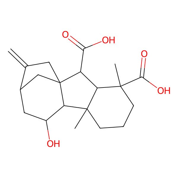 2D Structure of (1R,2S,3S,4R,8R,9S,10R,12S)-10-hydroxy-4,8-dimethyl-13-methylidenetetracyclo[10.2.1.01,9.03,8]pentadecane-2,4-dicarboxylic acid