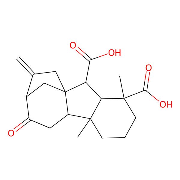 2D Structure of (1R,2S,3S,4R,8S,9S,12R)-4,8-dimethyl-13-methylidene-11-oxotetracyclo[10.2.1.01,9.03,8]pentadecane-2,4-dicarboxylic acid