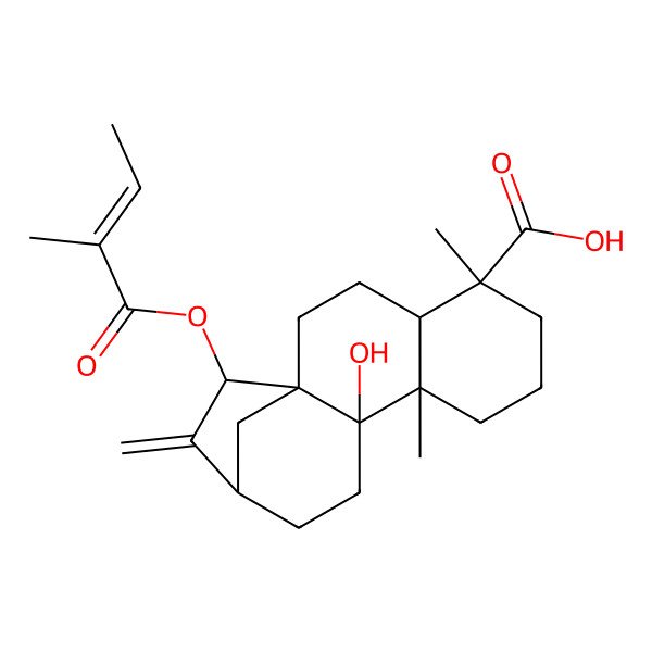 2D Structure of (1R,4R,5S,9S,10S,13S,15R)-10-hydroxy-5,9-dimethyl-15-[(Z)-2-methylbut-2-enoyl]oxy-14-methylidenetetracyclo[11.2.1.01,10.04,9]hexadecane-5-carboxylic acid