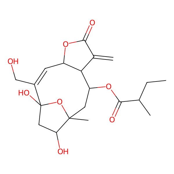 2D Structure of [(1R,2Z,4R,8R,9R,11R,12S)-1,12-dihydroxy-2-(hydroxymethyl)-11-methyl-7-methylidene-6-oxo-5,14-dioxatricyclo[9.2.1.04,8]tetradec-2-en-9-yl] 2-methylbutanoate