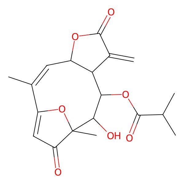 2D Structure of [(2Z,4R,8S,9S,10R,11S)-10-hydroxy-2,11-dimethyl-7-methylidene-6,12-dioxo-5,14-dioxatricyclo[9.2.1.04,8]tetradeca-1(13),2-dien-9-yl] 2-methylpropanoate
