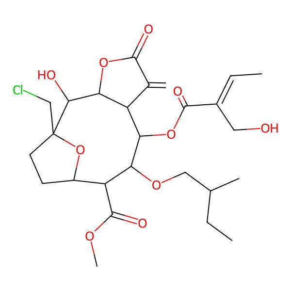2D Structure of methyl (1S,2R,3S,7S,8S,9S,10S,11R)-1-(chloromethyl)-2-hydroxy-8-[(E)-2-(hydroxymethyl)but-2-enoyl]oxy-9-[(2S)-2-methylbutoxy]-6-methylidene-5-oxo-4,14-dioxatricyclo[9.2.1.03,7]tetradecane-10-carboxylate
