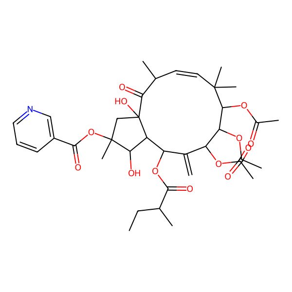 2D Structure of [9,10,11-Triacetyloxy-1,3a-dihydroxy-2,5,8,8-tetramethyl-13-(2-methylbutanoyloxy)-12-methylidene-4-oxo-1,3,5,9,10,11,13,13a-octahydrocyclopenta[12]annulen-2-yl] pyridine-3-carboxylate