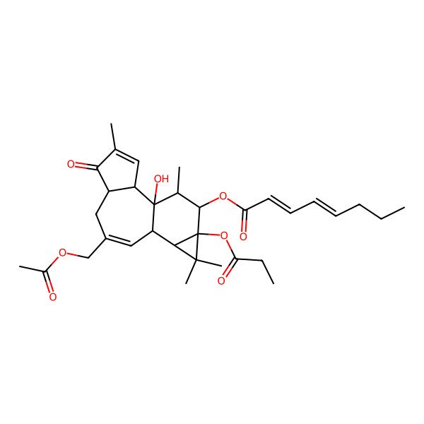 2D Structure of [(1S,2R,6S,10R,11S,13S,14S,15S)-8-(acetyloxymethyl)-1-hydroxy-4,12,12,15-tetramethyl-5-oxo-13-propanoyloxy-14-tetracyclo[8.5.0.02,6.011,13]pentadeca-3,8-dienyl] (2Z,4E)-octa-2,4-dienoate