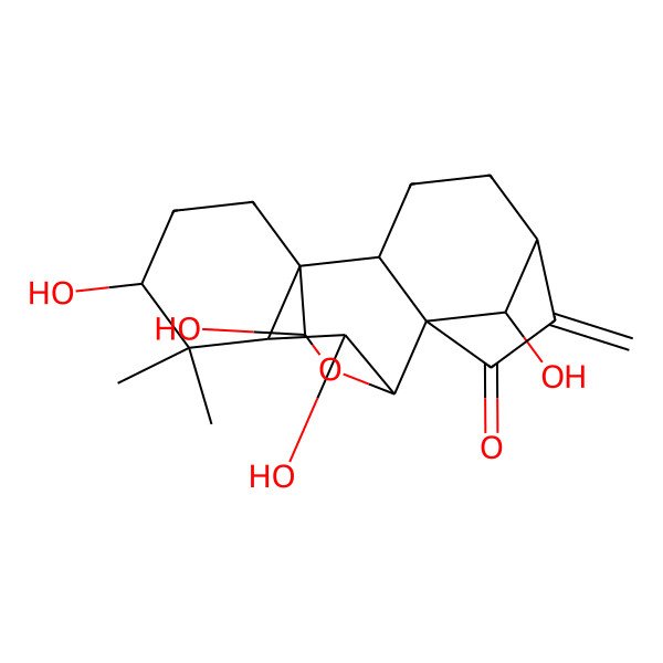 2D Structure of (1R,2S,5S,8S,9S,10S,11R,13S,16S,18R)-10,13,16,18-tetrahydroxy-12,12-dimethyl-6-methylidene-17-oxapentacyclo[7.6.2.15,8.01,11.02,8]octadecan-7-one