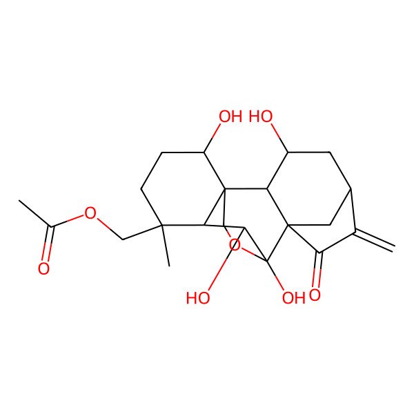 2D Structure of [(1R,2S,3R,5S,10S,11R,12R,15R)-3,9,10,15-tetrahydroxy-12-methyl-6-methylidene-7-oxo-17-oxapentacyclo[7.6.2.15,8.01,11.02,8]octadecan-12-yl]methyl acetate