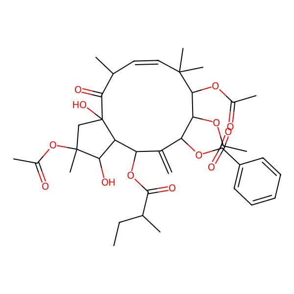 2D Structure of [2,9,10-Triacetyloxy-1,3a-dihydroxy-2,5,8,8-tetramethyl-13-(2-methylbutanoyloxy)-12-methylidene-4-oxo-1,3,5,9,10,11,13,13a-octahydrocyclopenta[12]annulen-11-yl] benzoate