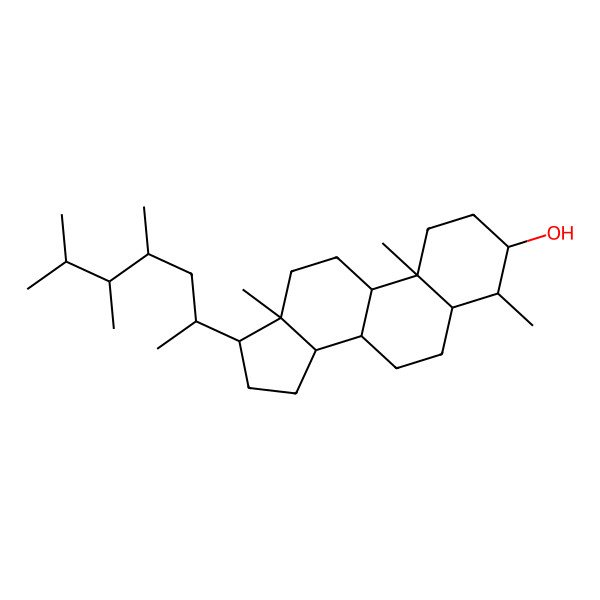 2D Structure of (3S,4S,5S,8S,9S,10R,13R,14S,17R)-4,10,13-trimethyl-17-[(2R,4S,5R)-4,5,6-trimethylheptan-2-yl]-2,3,4,5,6,7,8,9,11,12,14,15,16,17-tetradecahydro-1H-cyclopenta[a]phenanthren-3-ol
