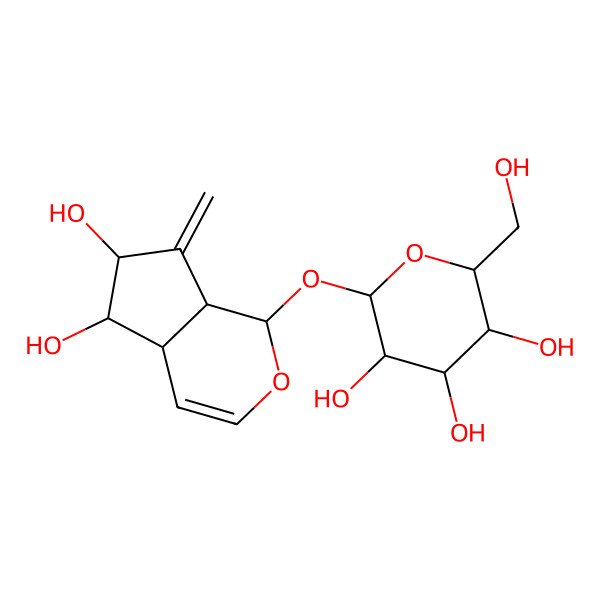 2D Structure of (2S,3R,4S,5S,6R)-2-[[(1S,4aR,5S,6R,7aS)-5,6-dihydroxy-7-methylidene-4a,5,6,7a-tetrahydro-1H-cyclopenta[c]pyran-1-yl]oxy]-6-(hydroxymethyl)oxane-3,4,5-triol