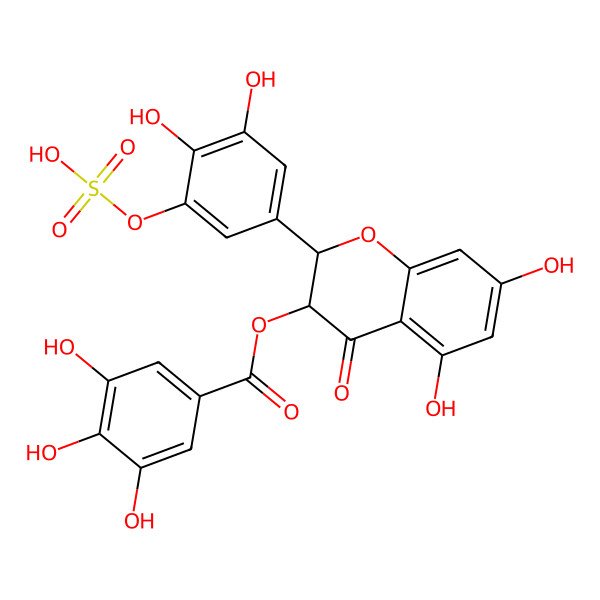 2D Structure of [(2R,3R)-2-(3,4-dihydroxy-5-sulfooxyphenyl)-5,7-dihydroxy-4-oxo-2,3-dihydrochromen-3-yl] 3,4,5-trihydroxybenzoate
