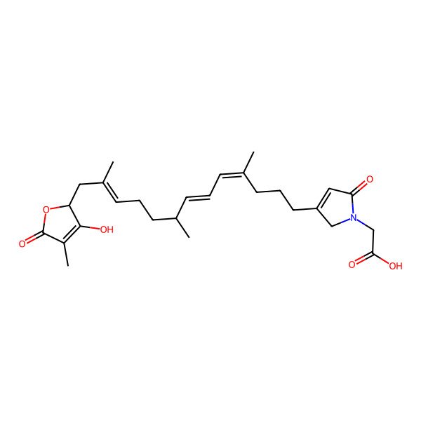 2D Structure of 2-[3-[(4E,6E,8S,11Z)-13-[(2R)-3-hydroxy-4-methyl-5-oxo-2H-furan-2-yl]-4,8,12-trimethyltrideca-4,6,11-trienyl]-5-oxo-2H-pyrrol-1-yl]acetic acid